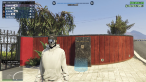 FSL Screenshot 2