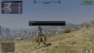 FSL Screenshot 3